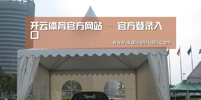 案例标题八